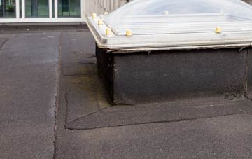 disadvantages of Cannalidgey flat roofs